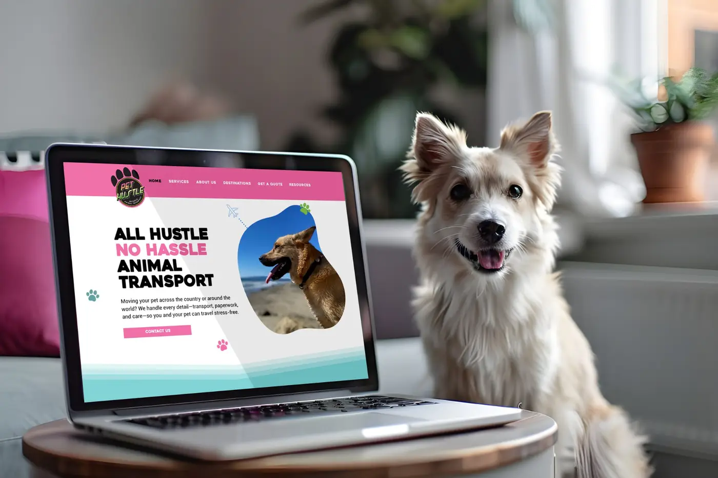 Pet Hustle website built by Demand Mojo